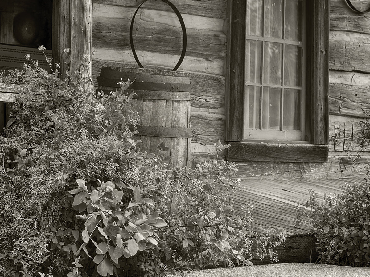 Bonanzaville B&W # 3