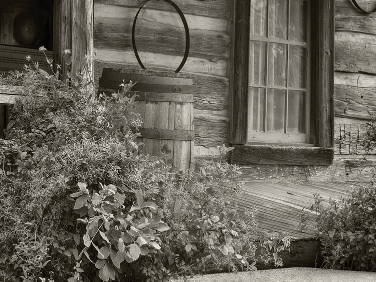 Bonanzaville B&W # 3