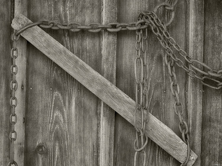 Bonanzaville B&W # 4