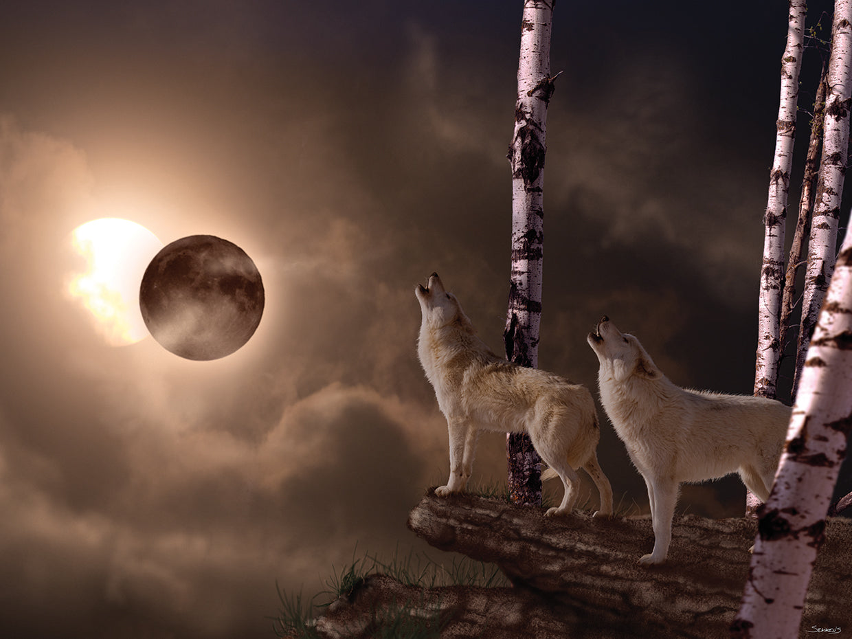 Eclipse (Shadow of the Moon)