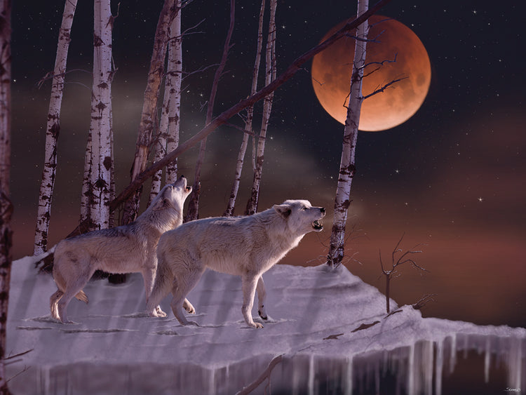 Once in a Super Blue Blood Moon