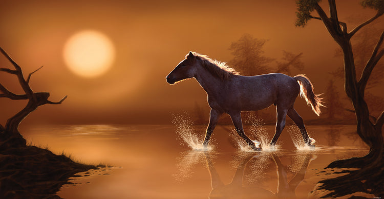 Little Missouri Crossing