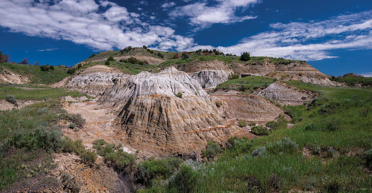Enter the Badlands Landscape # 2