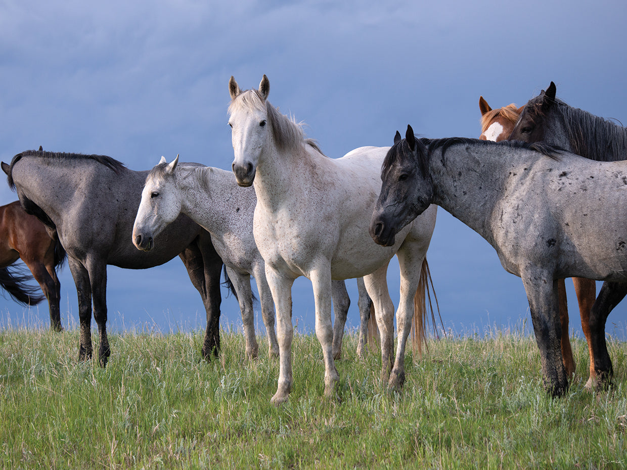 Enter the Badlands # 6