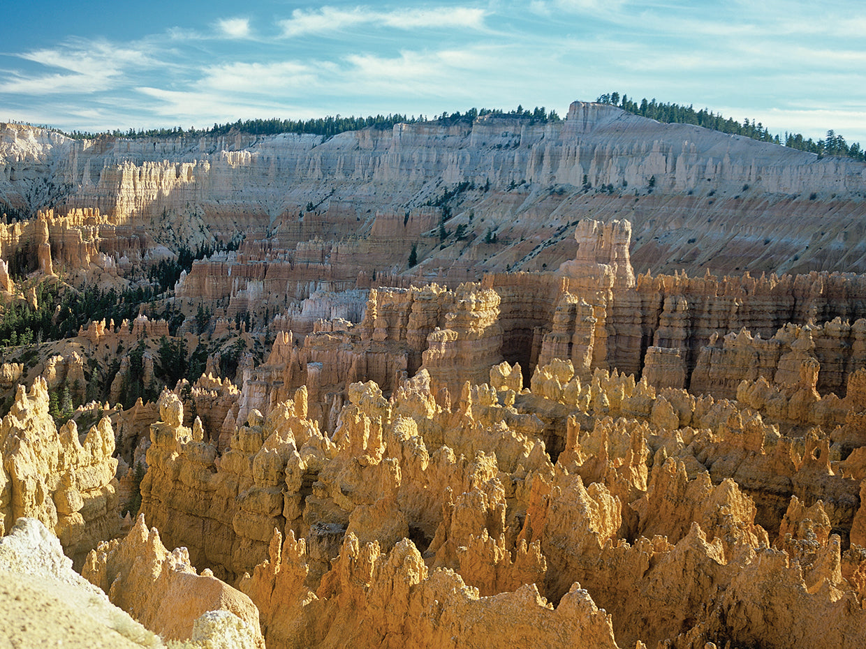 C- Bryce Canyon
