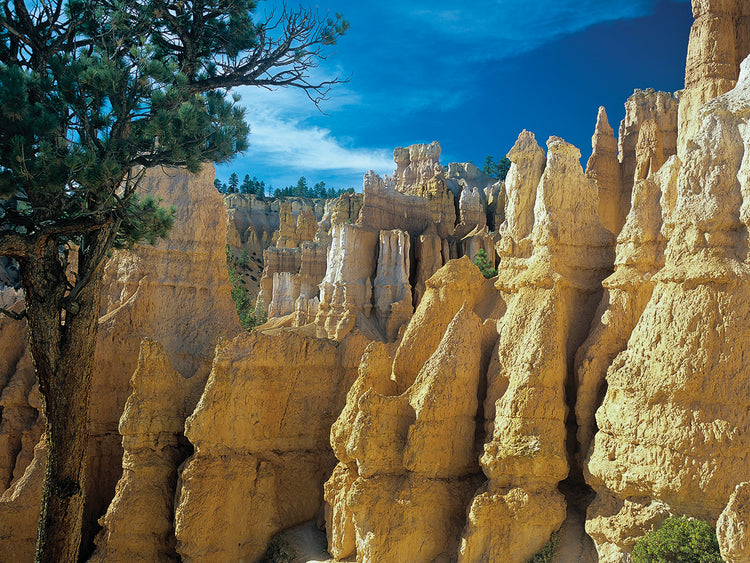 F- Bryce Canyon
