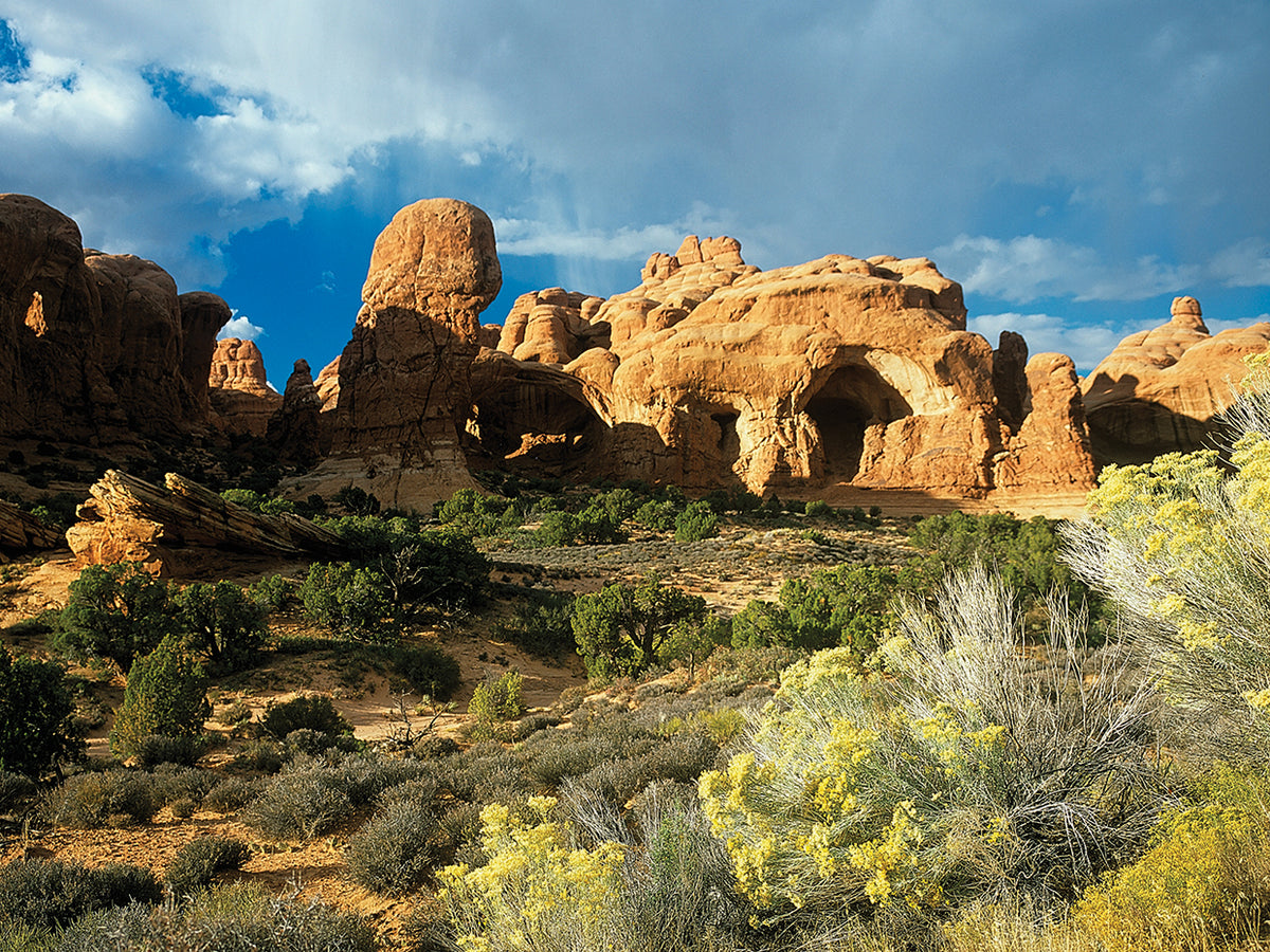 I - Arches
