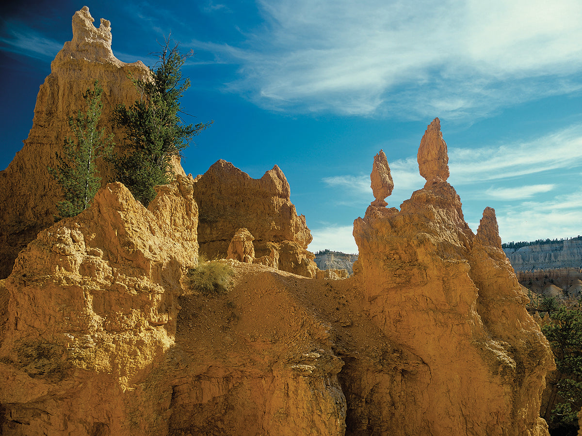 L- Bryce Canyon