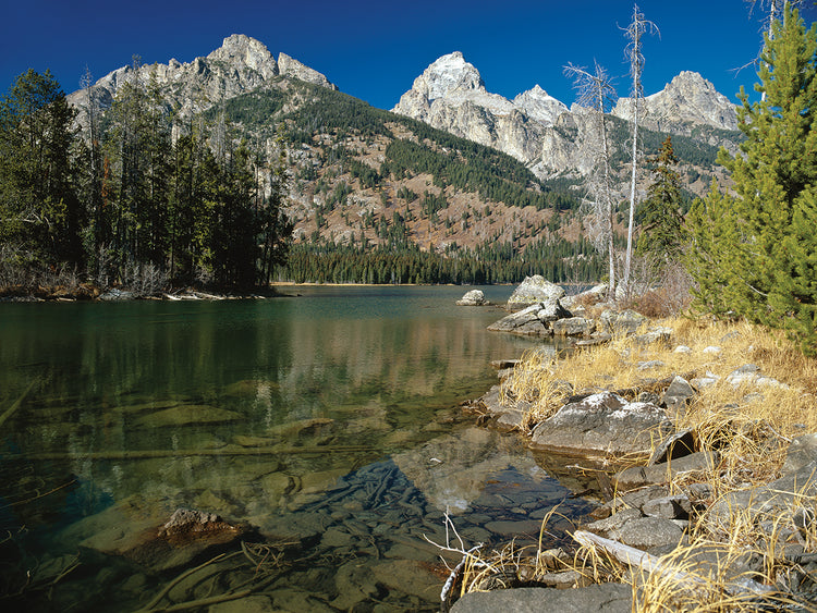 M- Teton