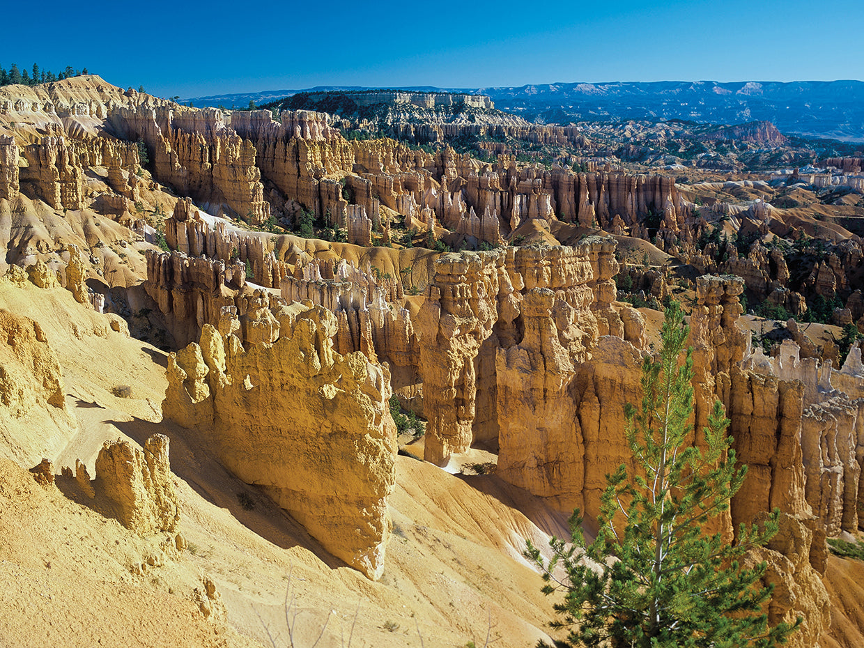 N - Bryce Canyon
