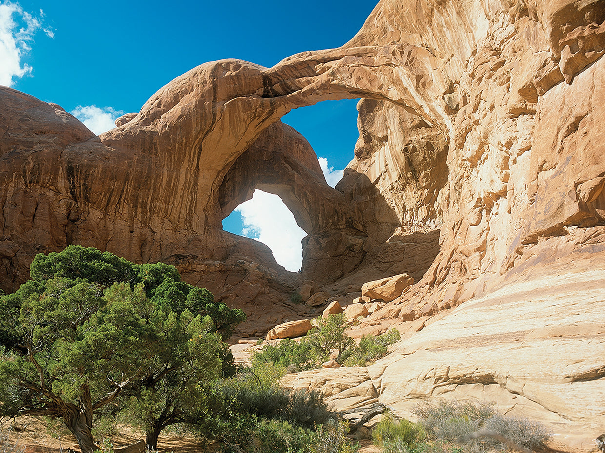 P - Arches