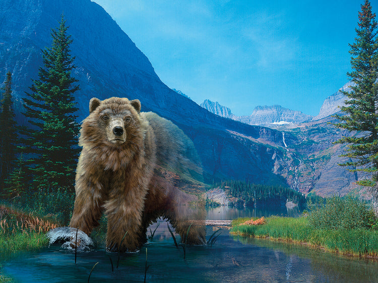 Walk On The Wild Side