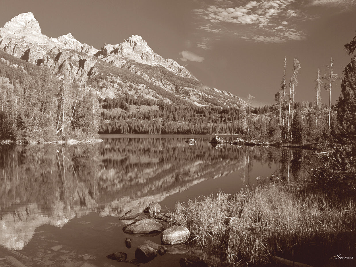 Sepia Teton 1