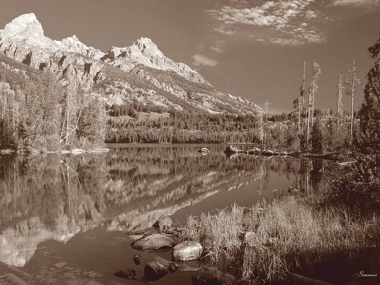 Sepia Teton 1