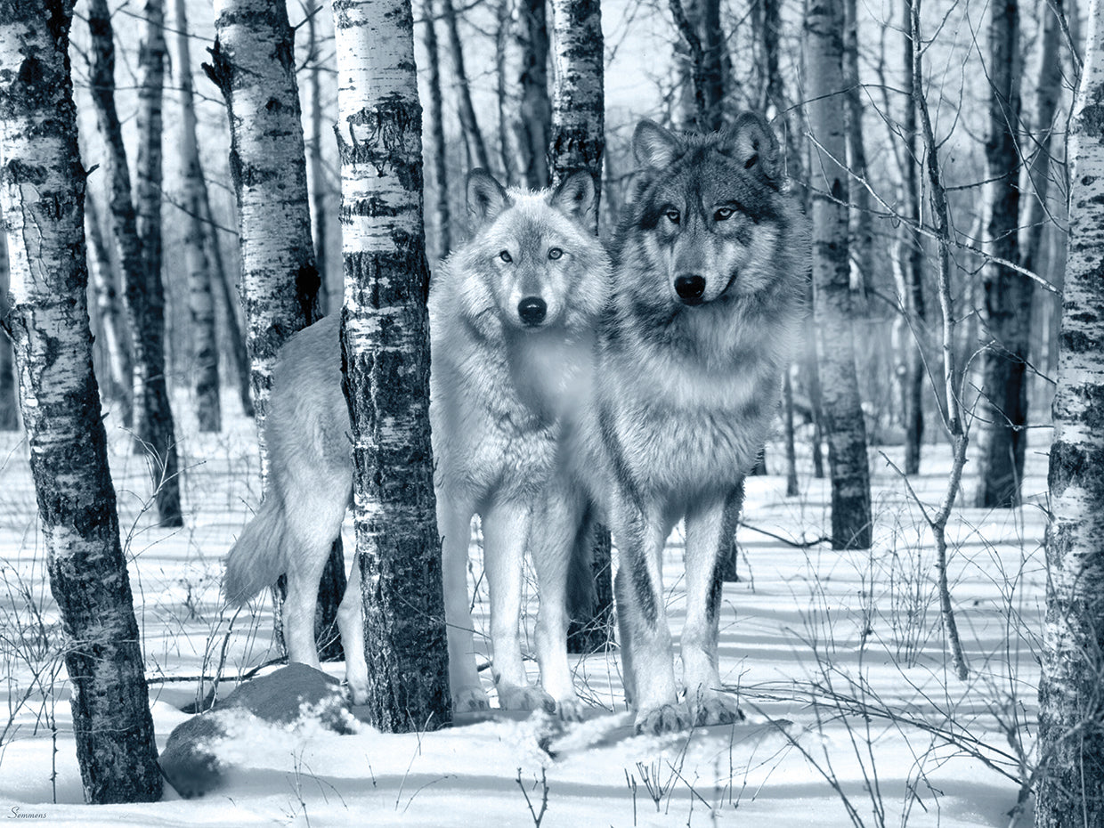 Snow Shadows Silvertones