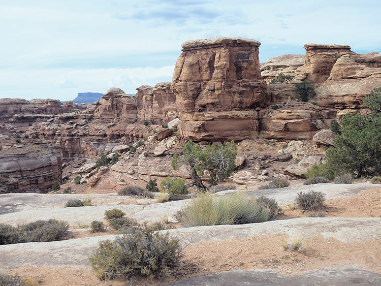 Canyonland 04