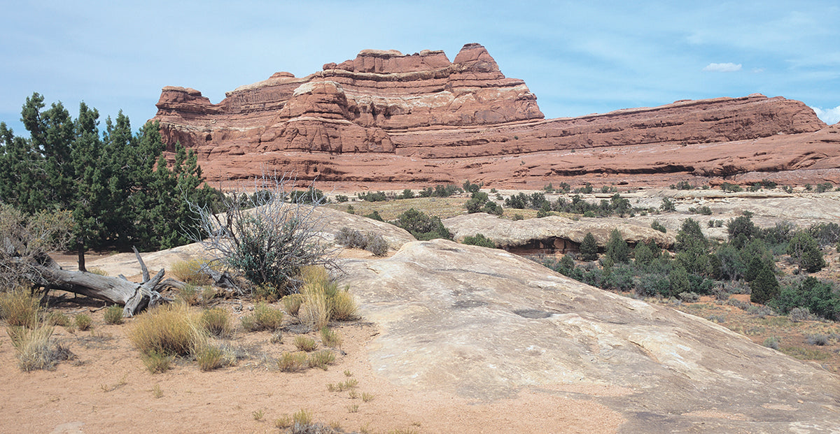 Canyonland 21