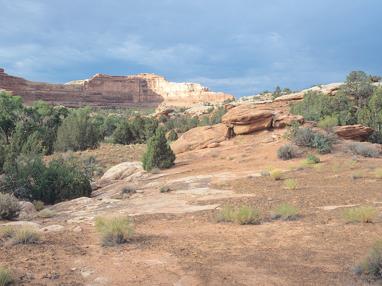 Canyonland 20