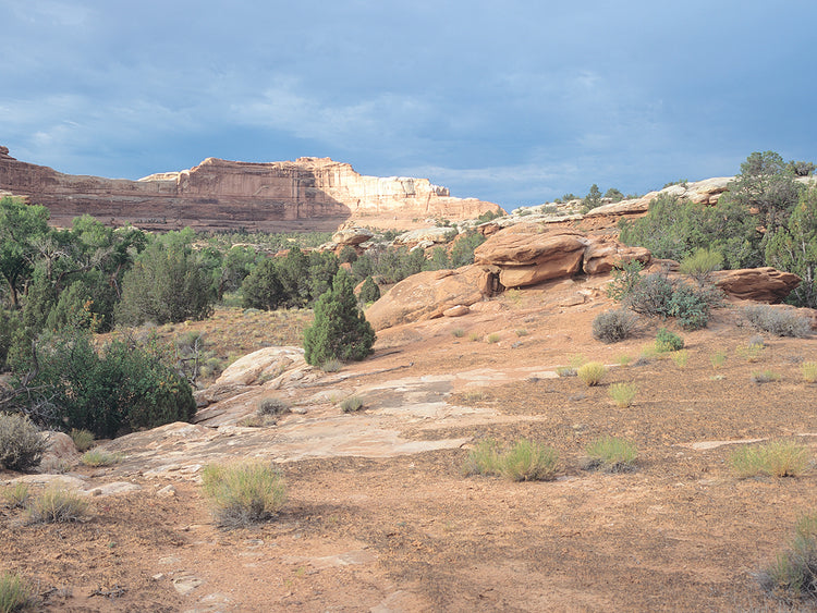 Canyonland 20