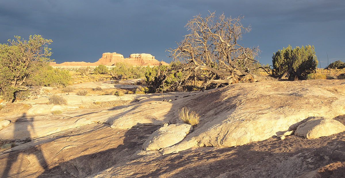 Canyonland 14