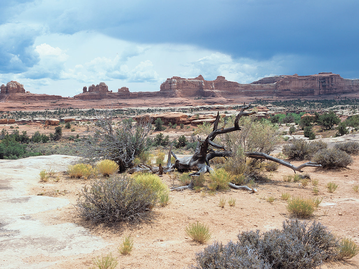 Canyonland 07