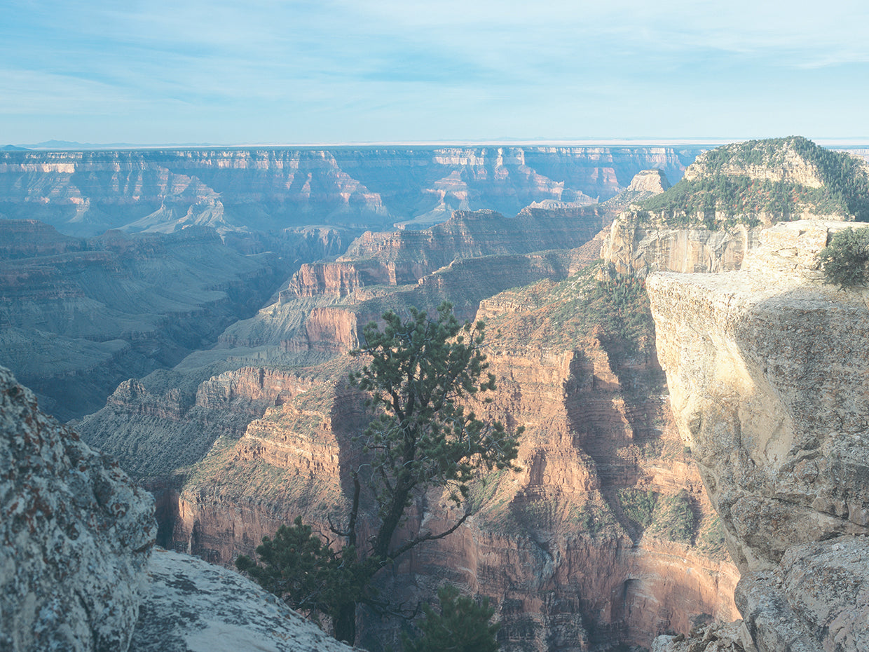 Grand Canyon 05