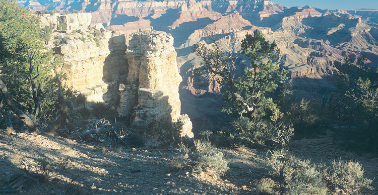 Grand Canyon 10