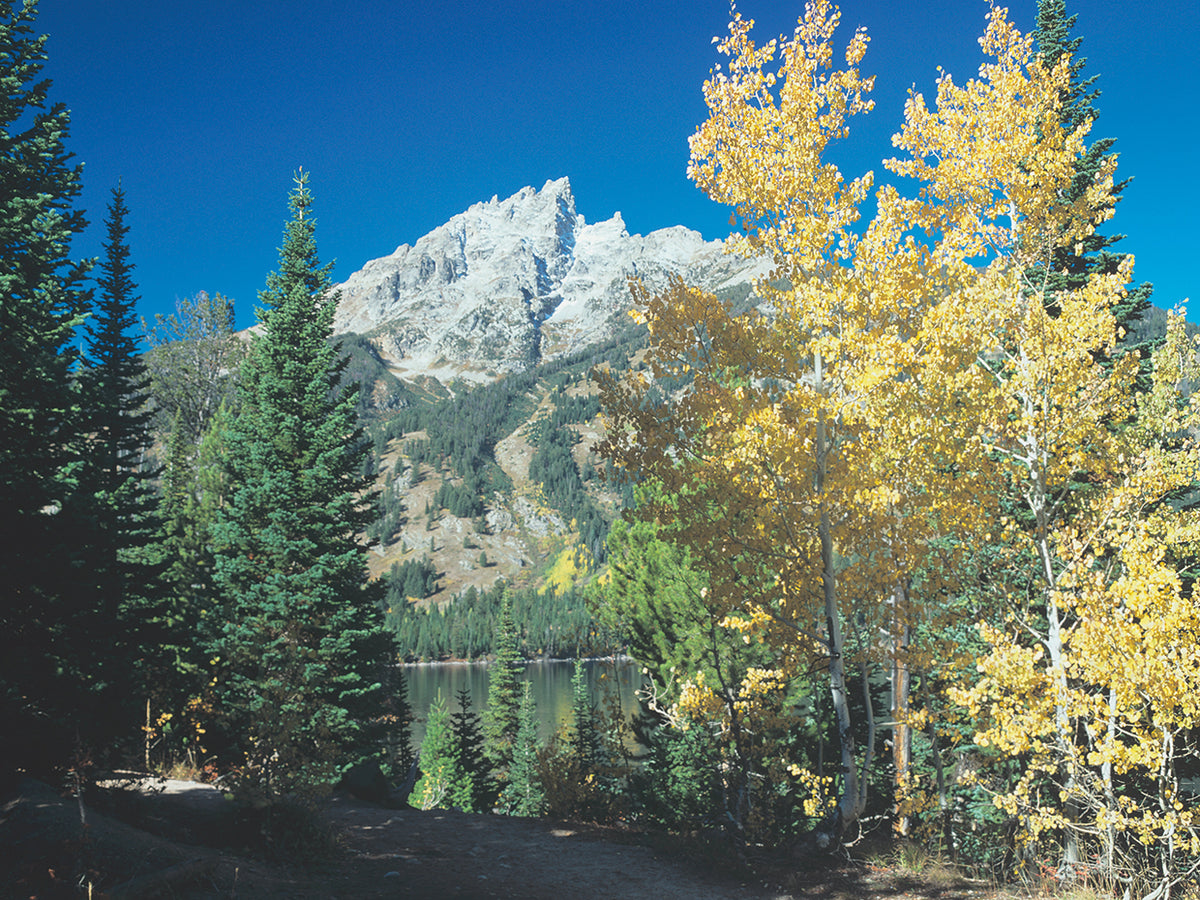 Grand Teton 12