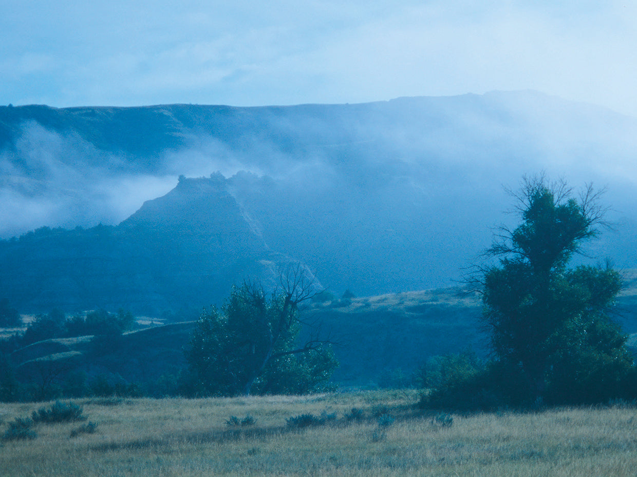 Theodore Roosevelt National Park 60