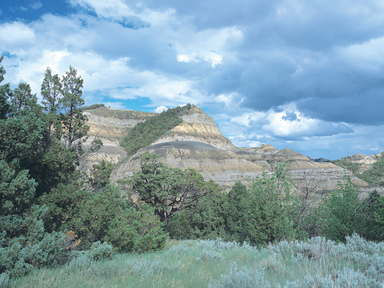 Theodore Roosevelt National Park 01