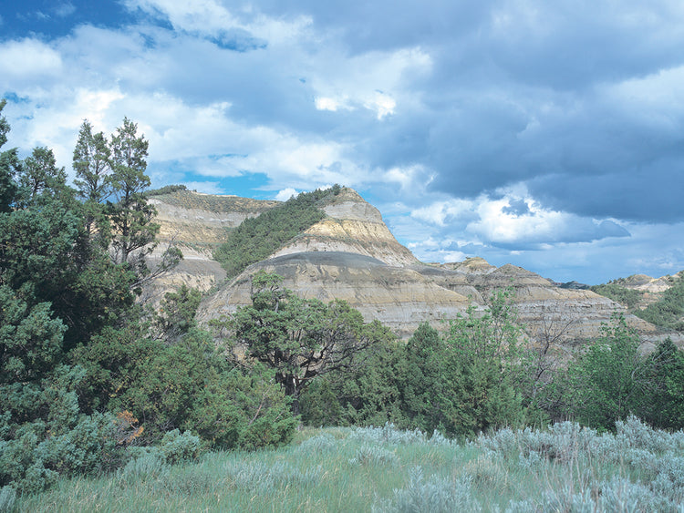 Theodore Roosevelt National Park 01