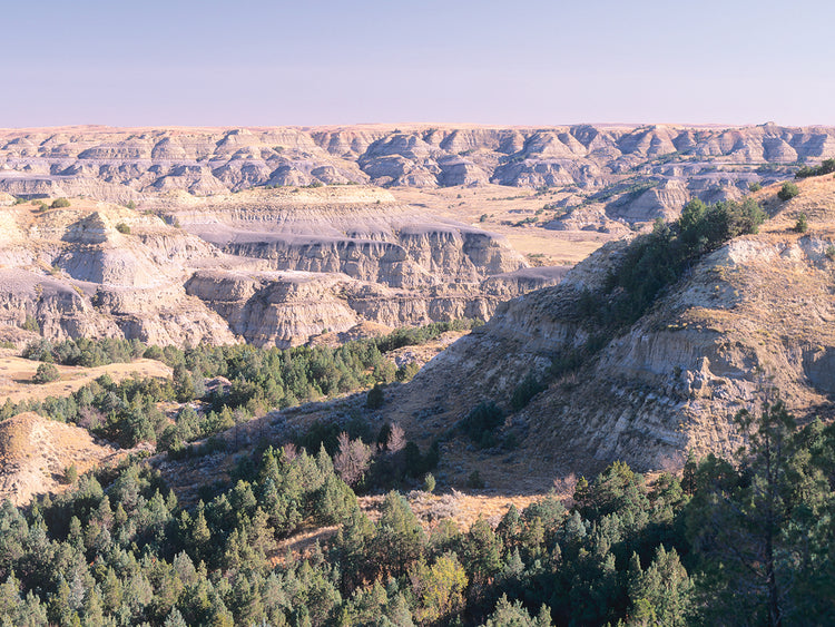 Theodore Roosevelt National Park 51