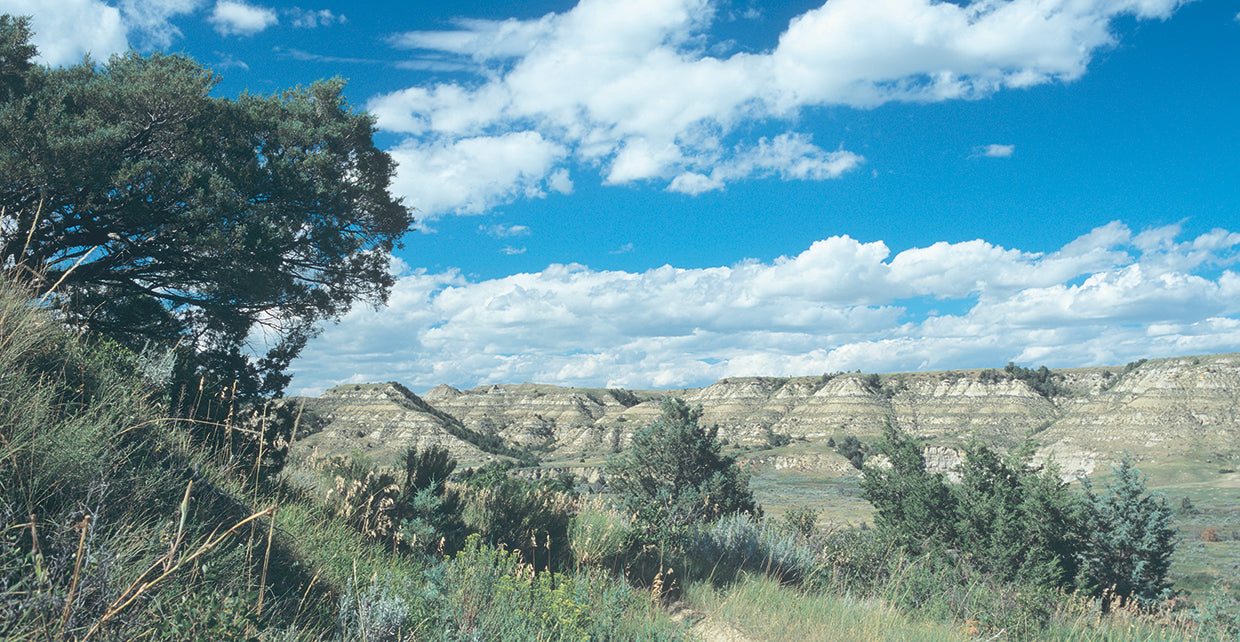 Theodore Roosevelt National Park 09