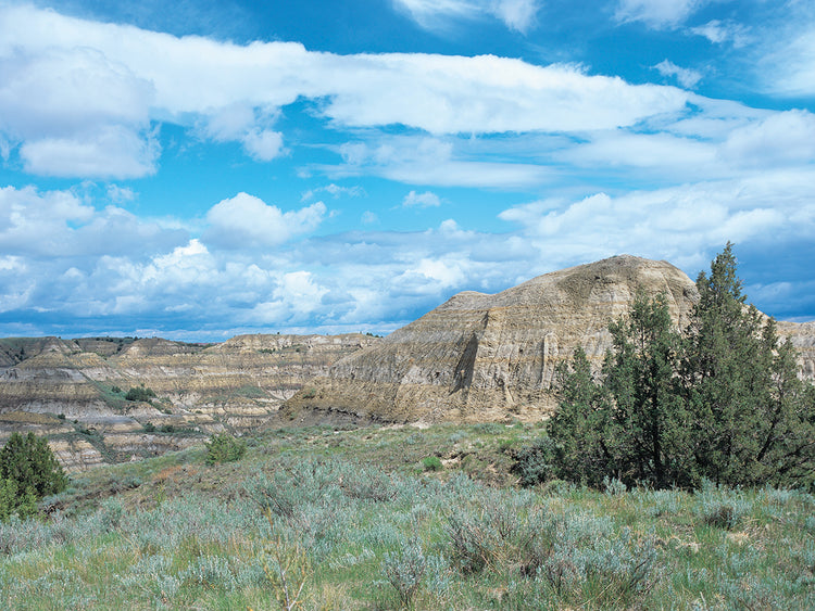 Theodore Roosevelt National Park 04