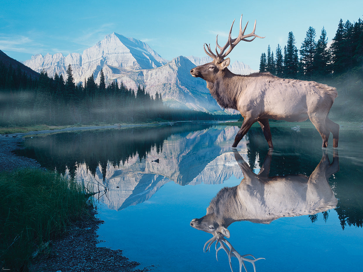 Reflections Of Glacier