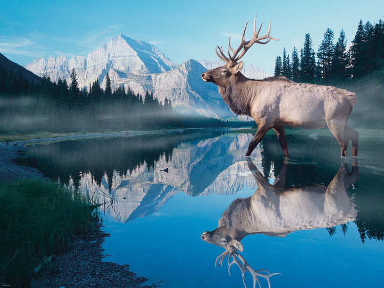 Reflections Of Glacier