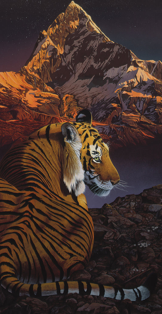 Cosmic Tiger Canvas Print