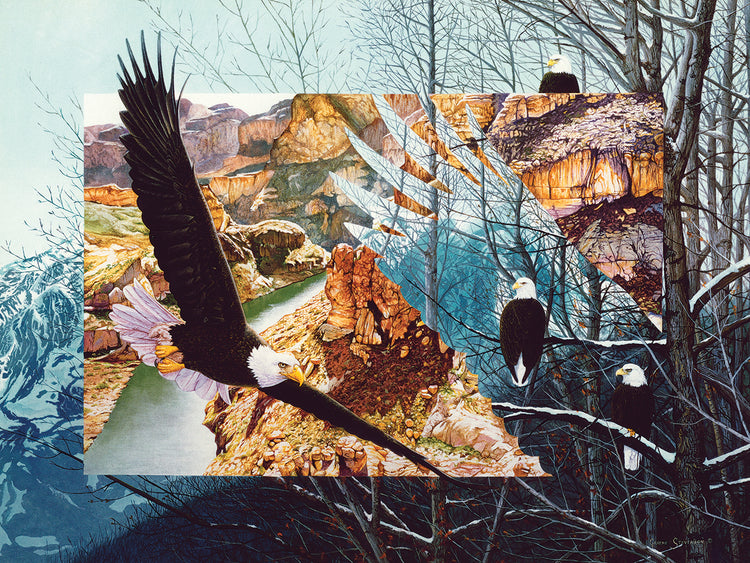 No Bounds No Barriers