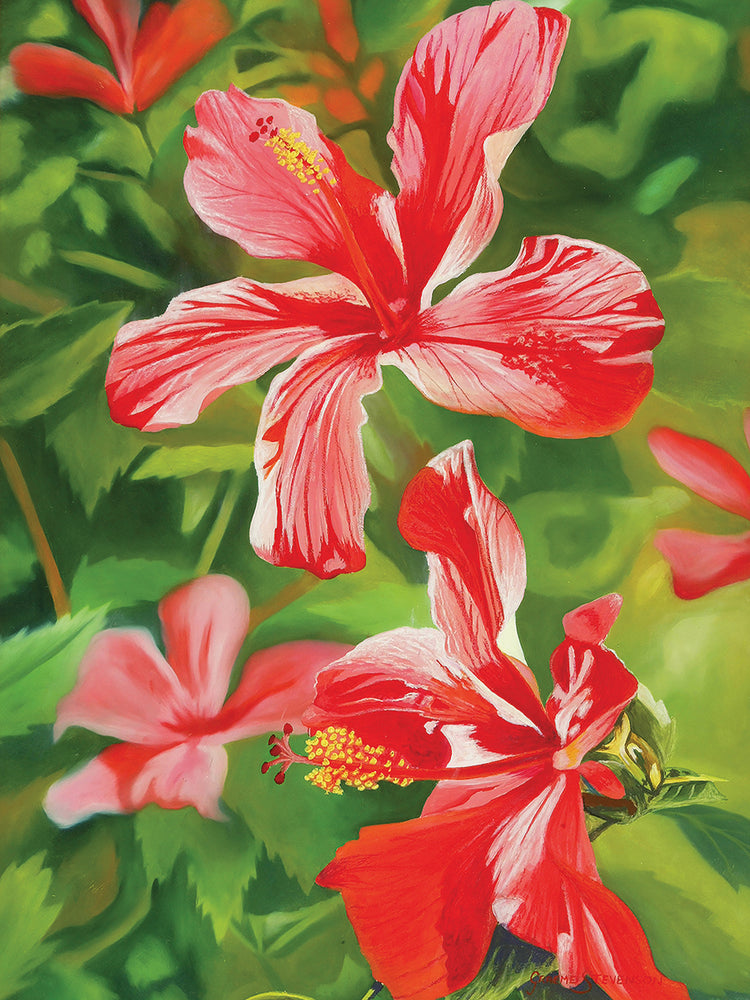 Red Hibiscus 3