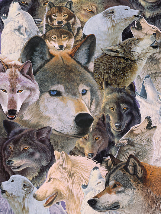 Wolves Alive Canvas Art