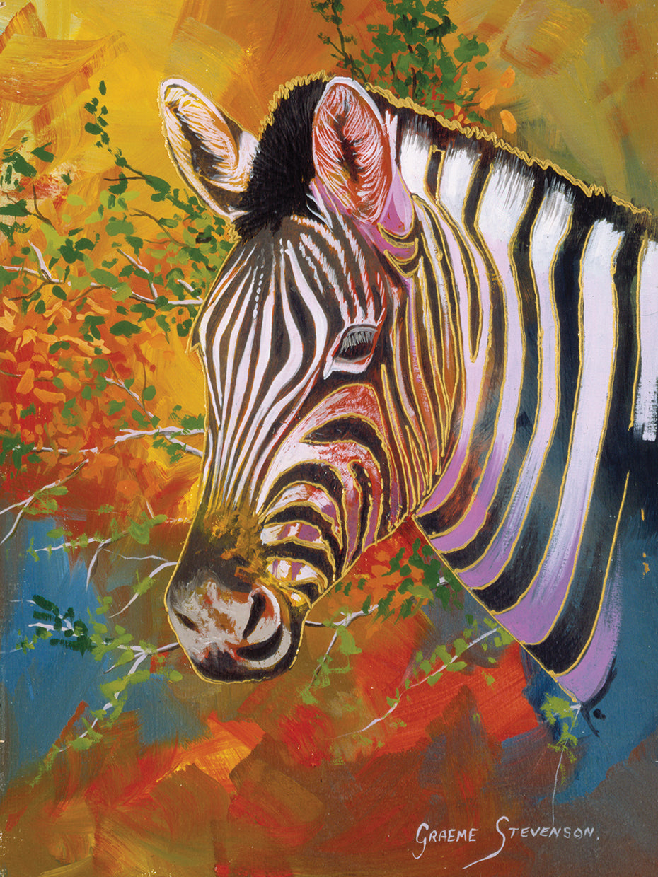 Zebra Days Wall Art by Graeme Stevenson | Fine Art Canvas