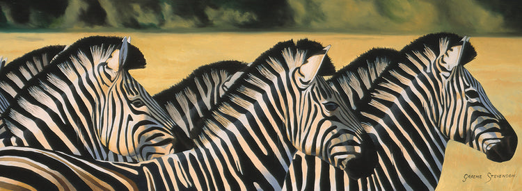 Zebras