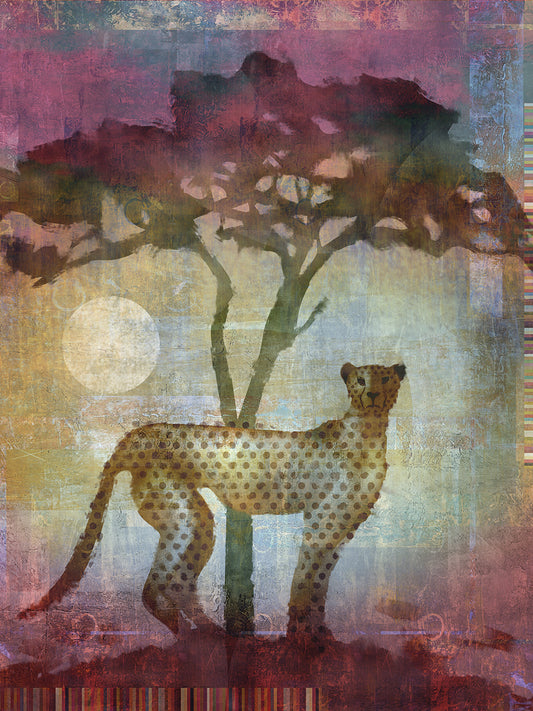 Africa Cheetah Canvas Prints