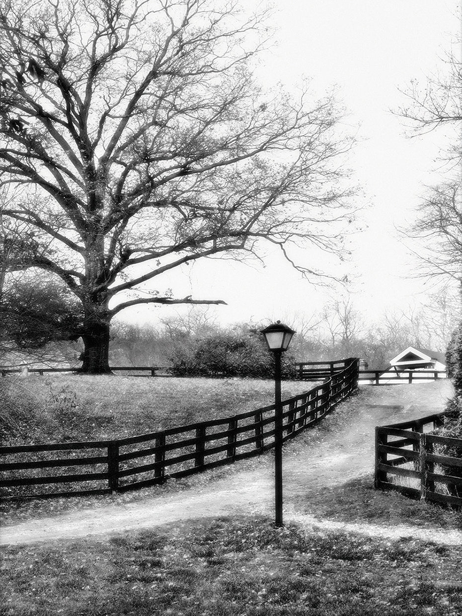 House and Road
