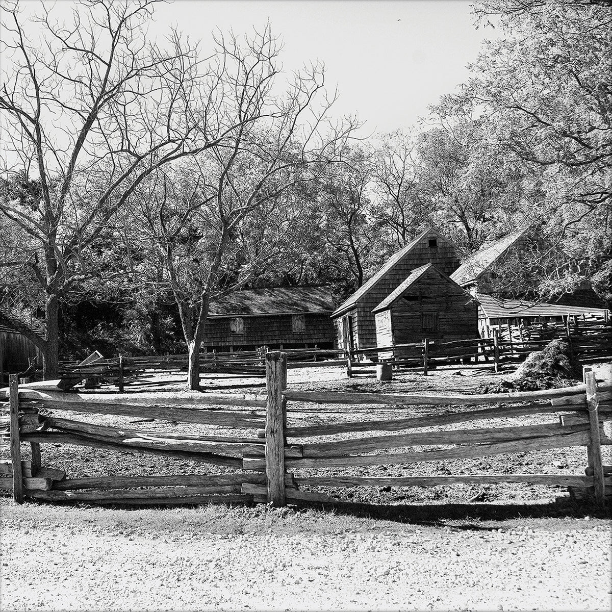 The Barnyard Group