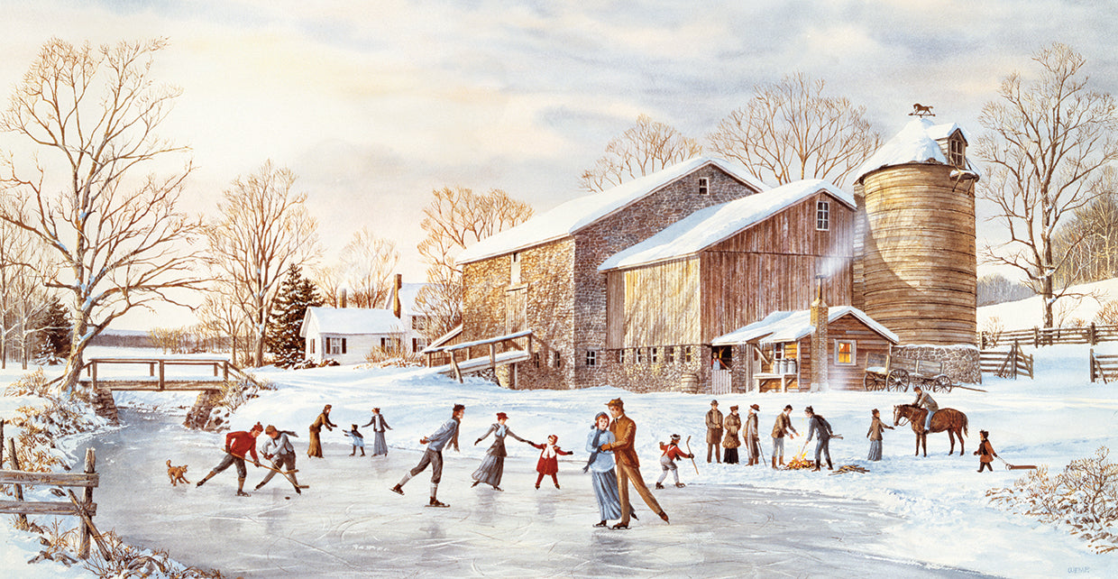 The Skating Party