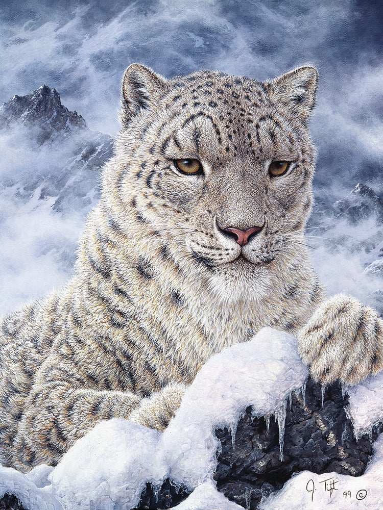 Arte de la lona del gato