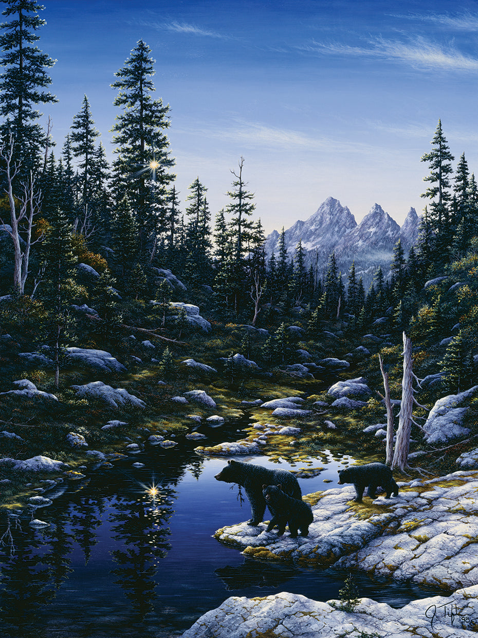 Bear Family