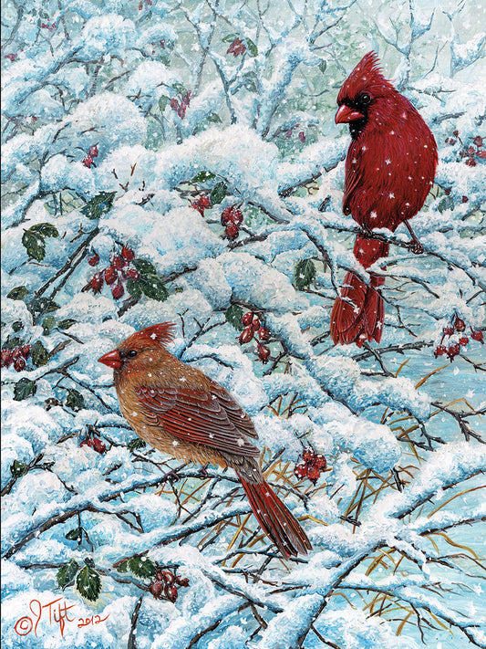 Winter Cardinal Painting Canvas Print