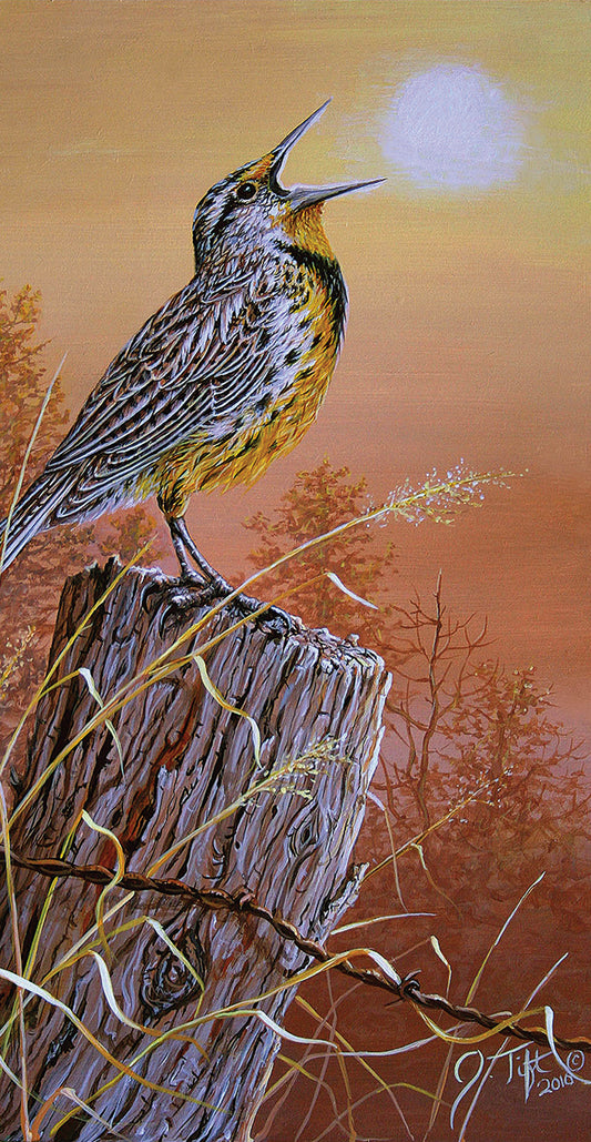 Meadowlark Painting Canvas Print